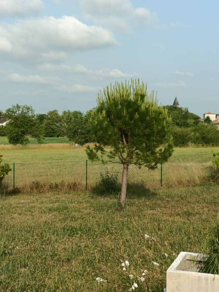 photo illustrative avec un jardin dans le lot