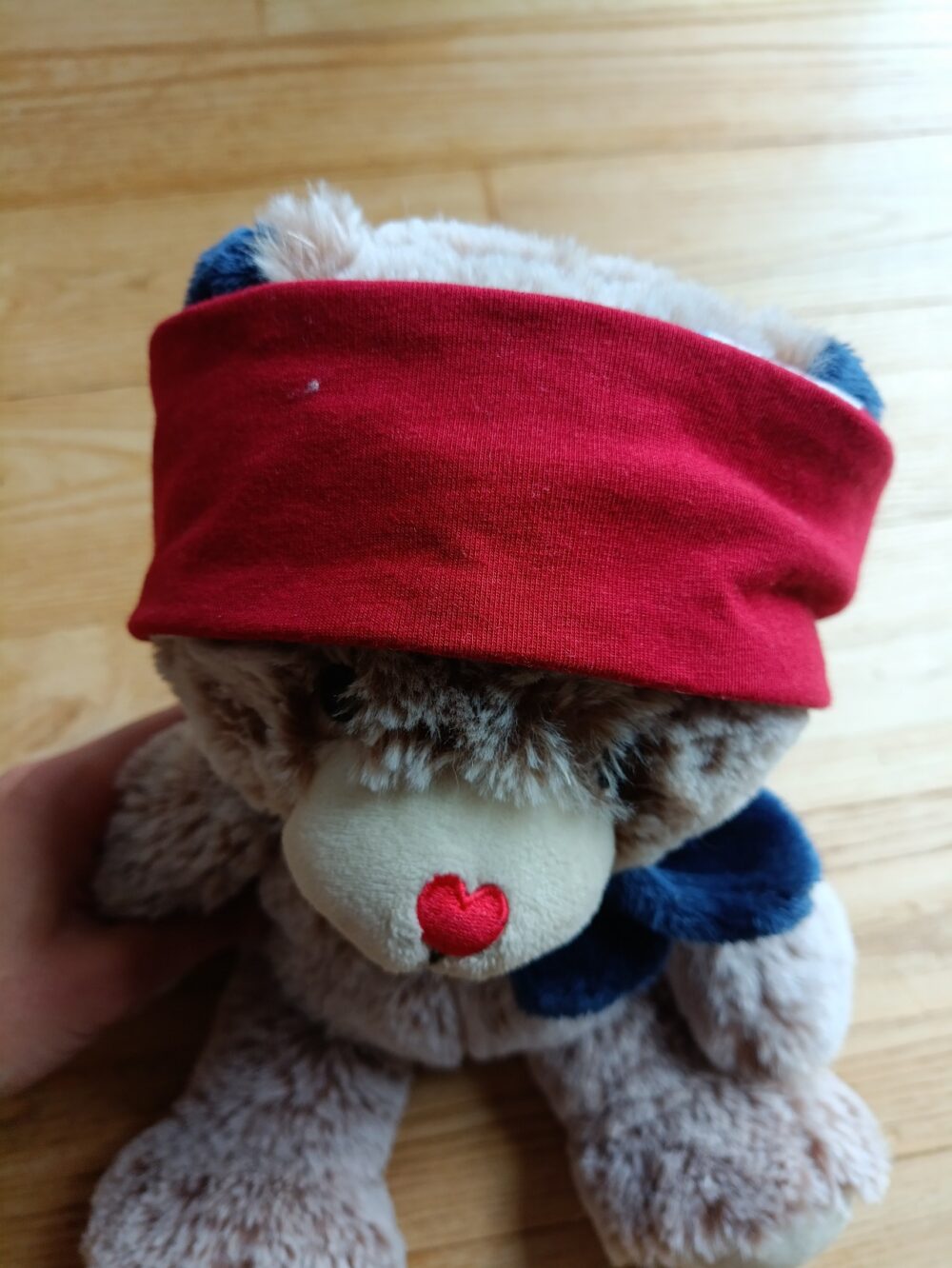 photo bandeau bordeau