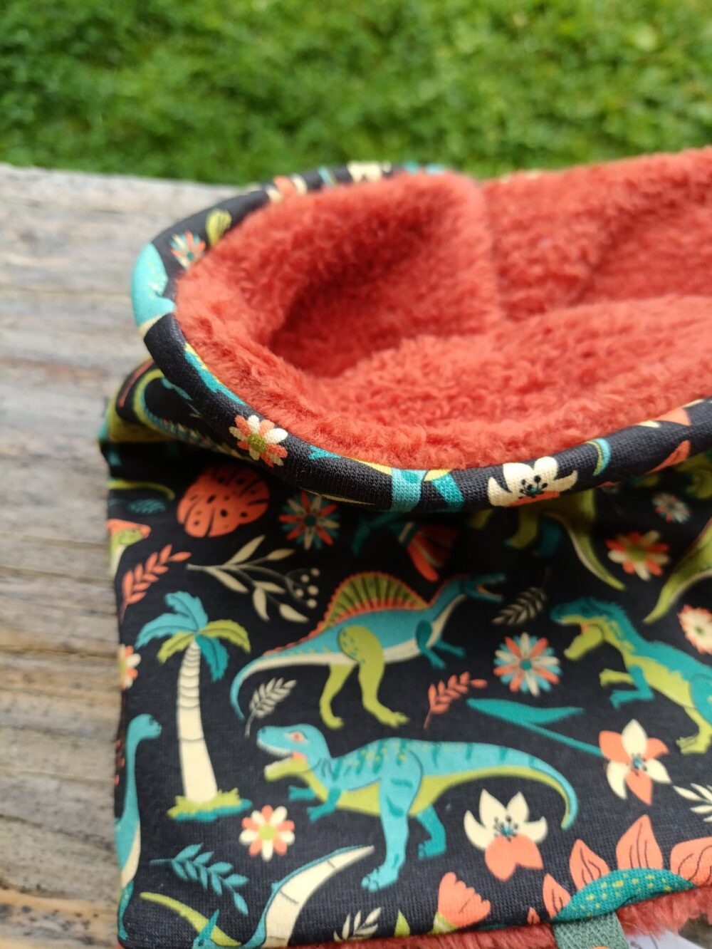 snood dinosaure zoom