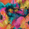 Feuilles multicolores